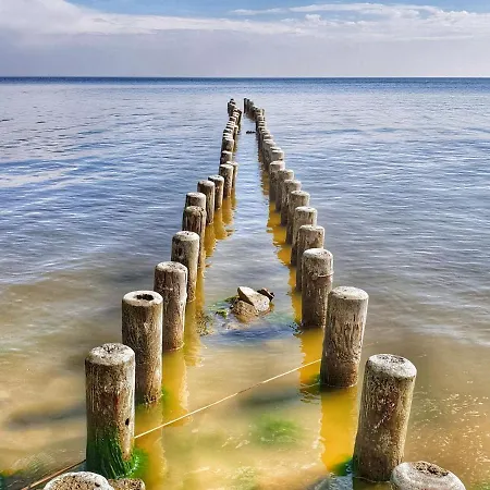 Lagoon Forest Family Retreat Appartement