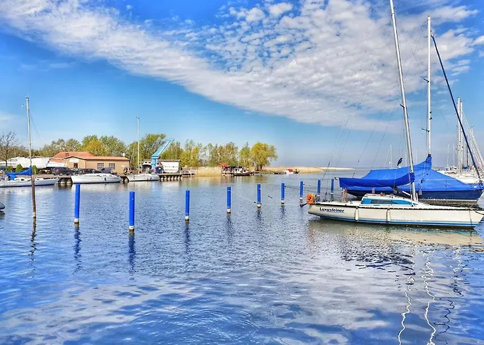 Lagoon Forest Family Retreat アパート