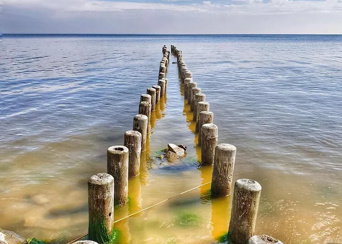 Lagoon Forest Family Retreat アパート